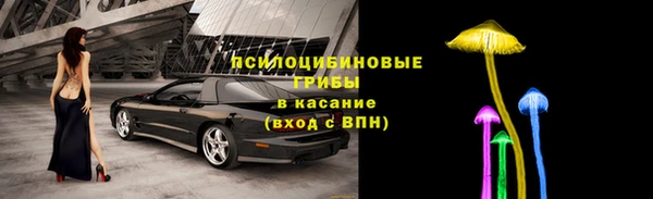 mdpv Арсеньев